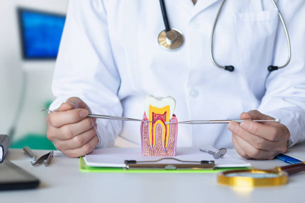 , OR Emergency Dental Service Company